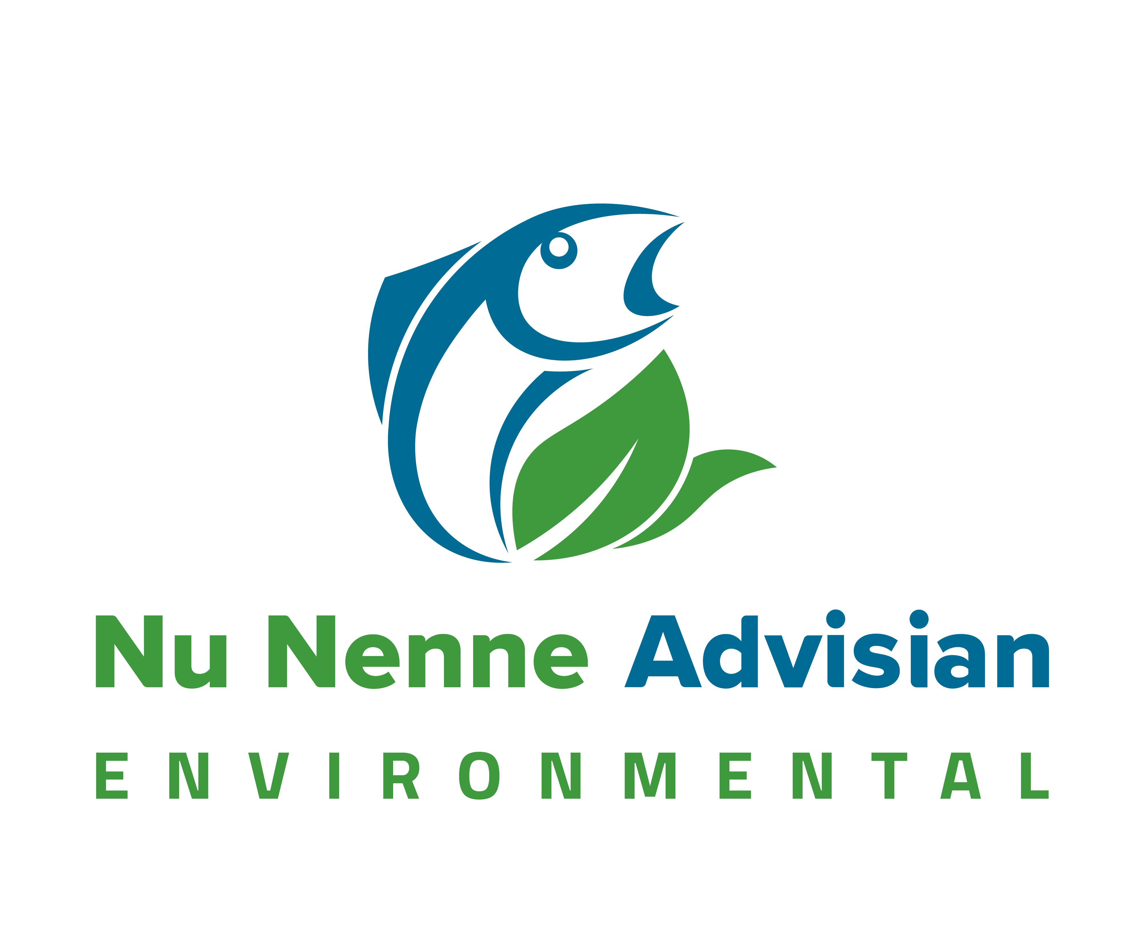 nu_nenne_advisian_logo_rev0 (1)
