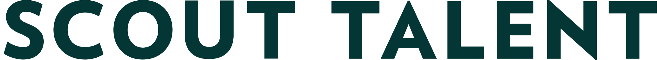 stghorizontal_logo1