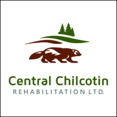 Central Chilcotin Rehabilitation Central Chilcotin Rehabilitation - CCIB ISBY Award Logo